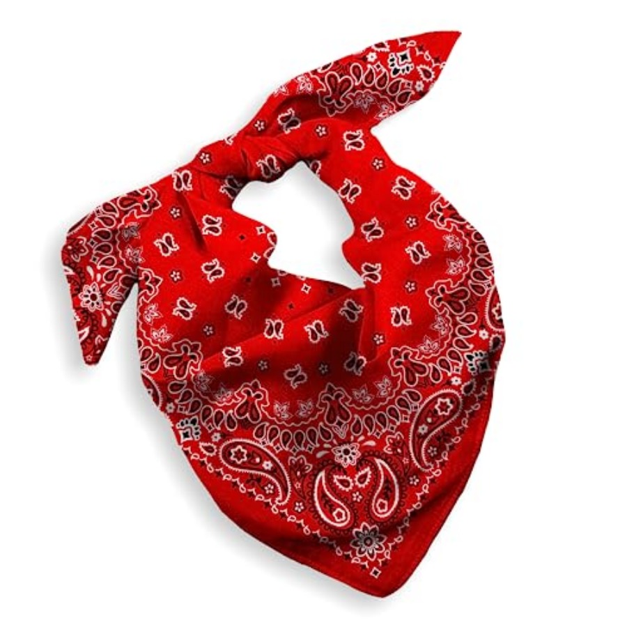 Gift Packaging Bandana for Men - Handkerchief Cotton Men recension och pris